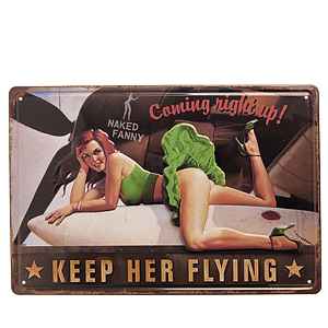 Panou metalic Keep Her Flying 40x30cm