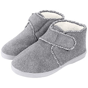 Pâslari gri pentru seniori