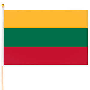 Steag Lituania, 45x30cm