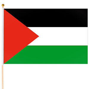 Steag Palestina, 45x30cm