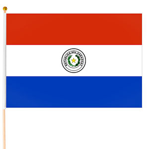 Steag Paraguay, 45x30cm