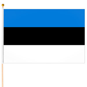 Steag mic Estonia