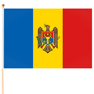 Steag Moldova mic