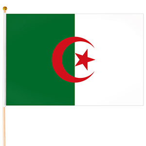 Steag mic Algeria