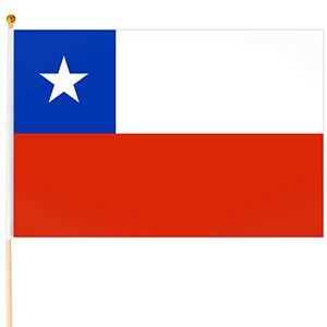 Steag mic Chile