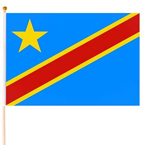 Steag Republica Democrată Congo mic
