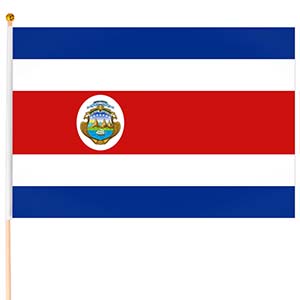 Steag Costa Rica mic