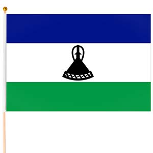  Steag Lesotho mic