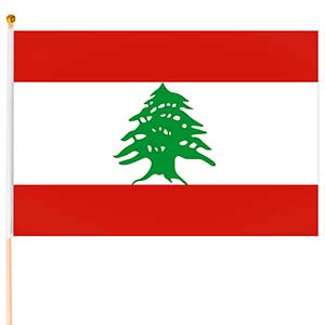 Steag mic Liban
