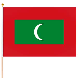 Steag Maldive mic