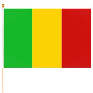Steag Mali mic