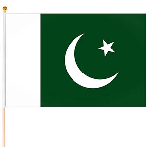 Steag mic Pakistan