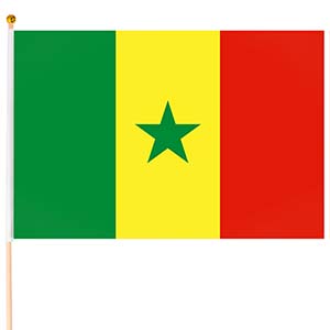  Steag Senegal mic