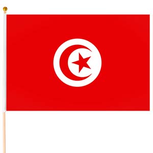 Steag mic Tunisia