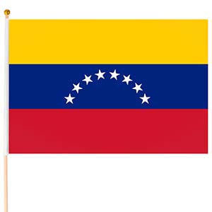 Steag mic Venezuela