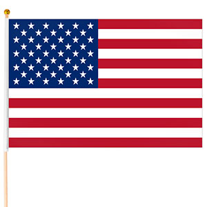 Steagul american 40x30cm mic
